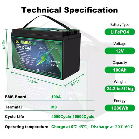 DJDC Dongjin 12 100Ah Lithium-Ion LiFePO4 Deep Cycle battery
