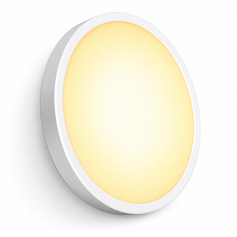 Ceiling Atmosphere Light 24W – WiFi + Bluetooth Smart RGB Light