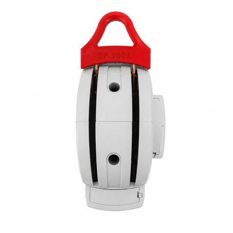 MORA 2P 100A D-Type Manual Changeover Switch