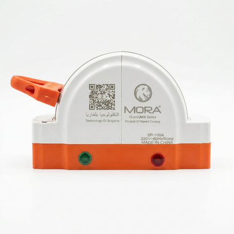 MORA 2P 100A D-Type Manual Changeover Switch