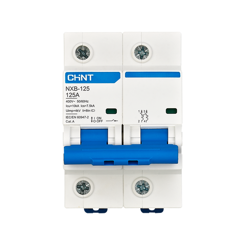 CHINT NXB-125 125A MCB Circuit Breaker – High Breaking Capacity