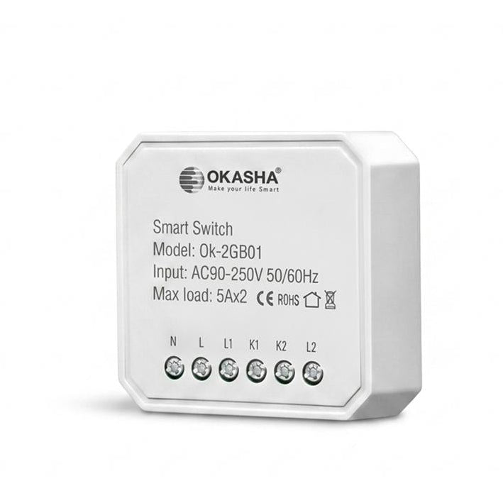 Smart In-Wall Two Gang WiFi Touch Switch