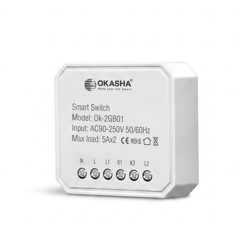 Smart In-Wall Two Gang WiFi Touch Switch