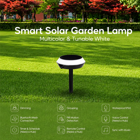 Smart Solar Garden Light with Bluetooth – 1W Outdoor LED