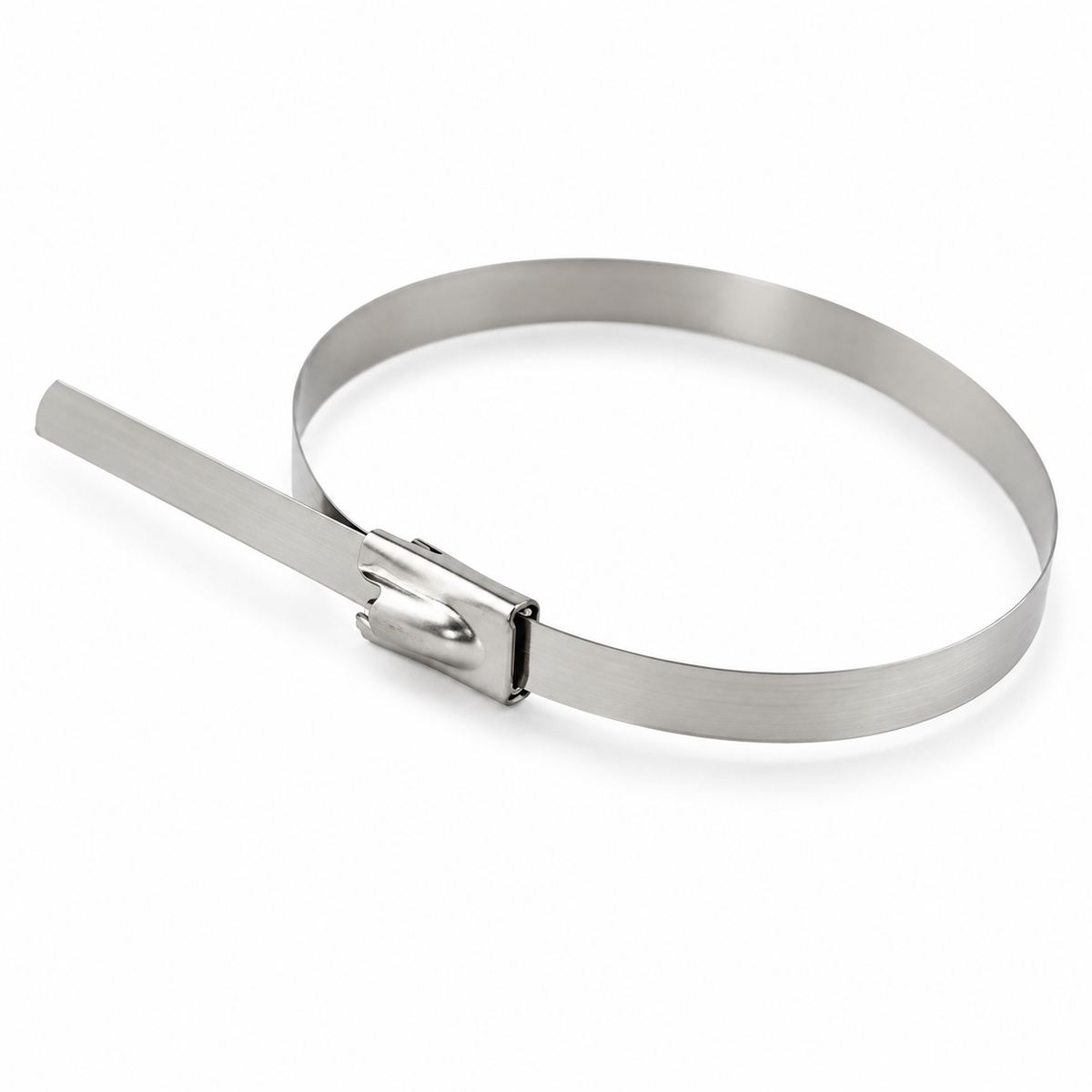 Reliable Stainless Steel Cable Ties 4.6×200mm (8 Inch) / 4.6×150mm (6 Inch) – Self-Ball-Locking SS Zip Ties (Pack of 100)