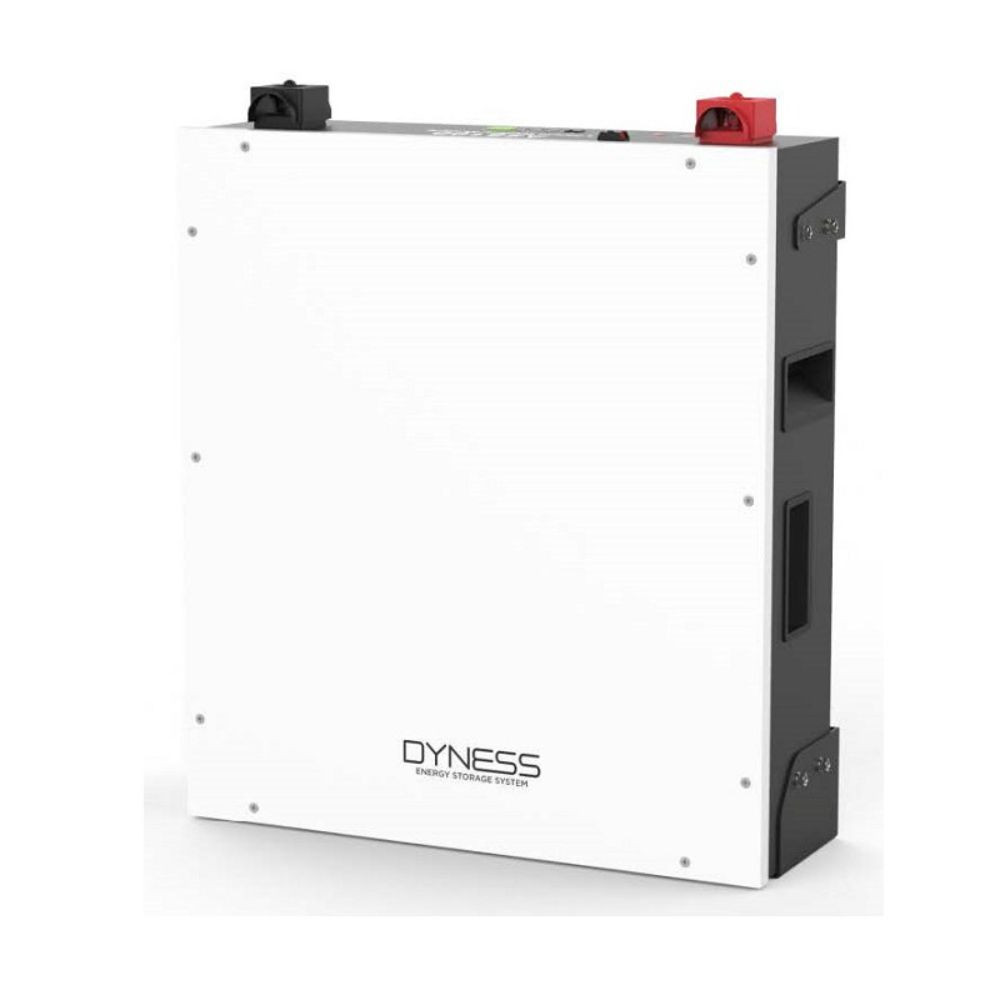 Dyness DL5.0X 51.2V 100ah 5.2kwH Lithium ion battery (F)
