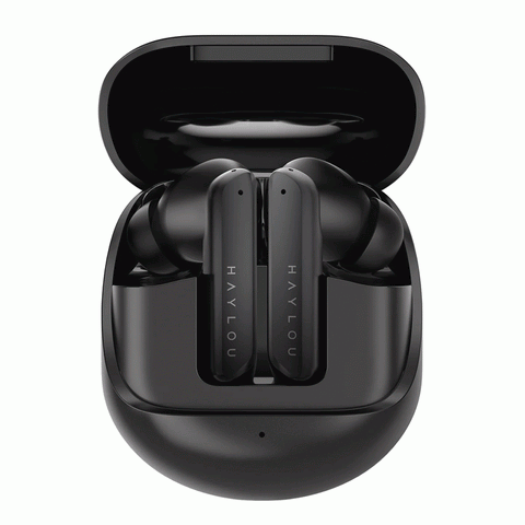 Haylou X1 Pro ANC True Wireless Earbuds