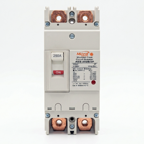 Mora AES202N/AES125N 2P DC MCCB Breaker with Copper Points for Solar Panels & Battery Systems